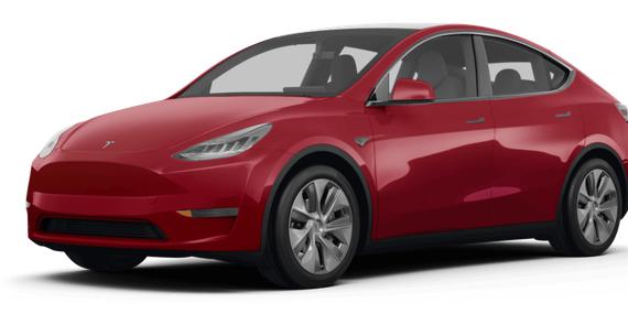 TESLA MODEL Y 2023 7SAYGDEE5PF636096 image